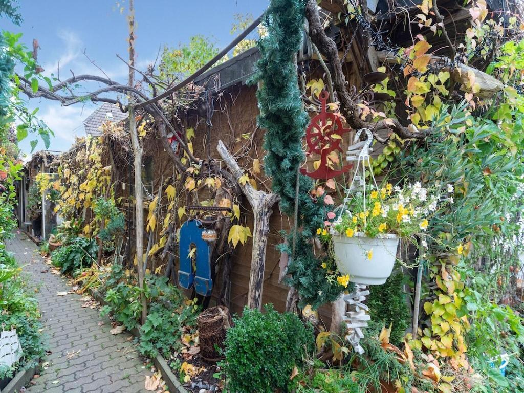 Holiday Flat With Garden In Wißmar מראה חיצוני תמונה